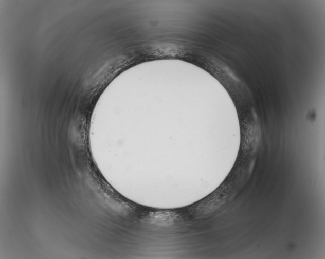 X0000114640414200912011053