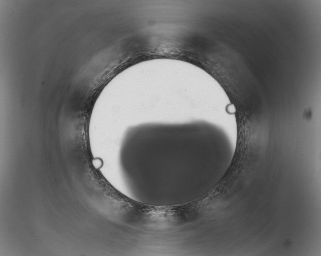 X0000114640415200912011053