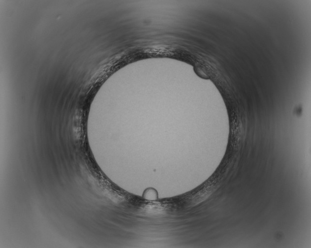 X0000114640416200912011053