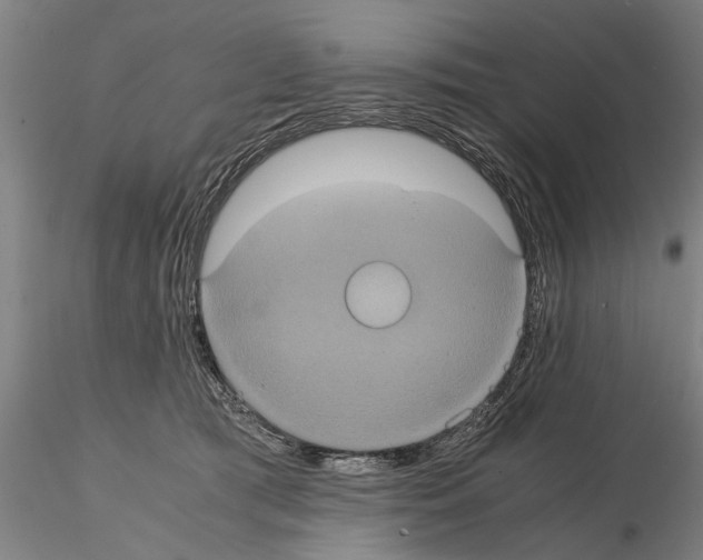 X0000114640417200912011053