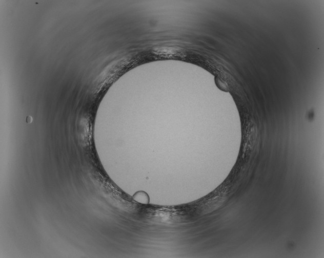 X0000114640420200912011053