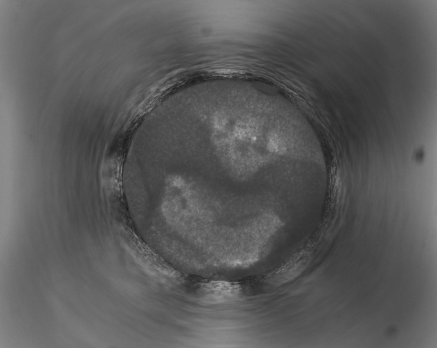 X0000114640421200912011053