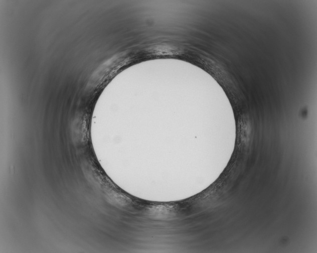 X0000114640422200912011053