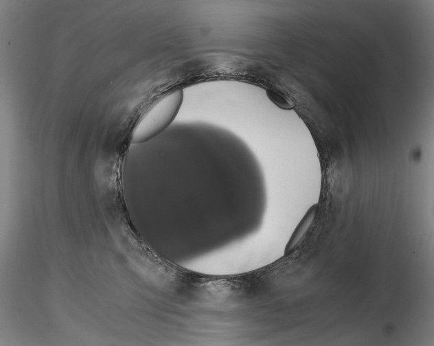 X0000114640423200912011053