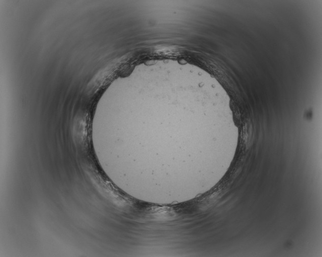 X0000114640424200912011053