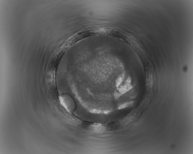 X0000114640425200912011053