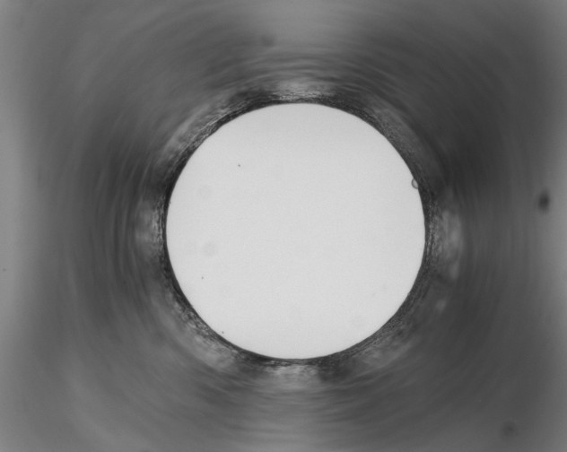 X0000114640426200912011053