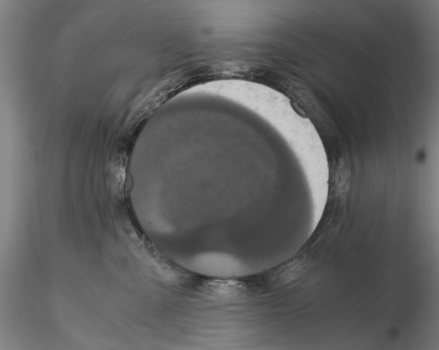 X0000114640427200912011053