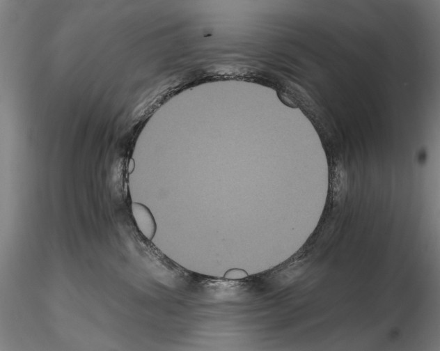 X0000114640428200912011053