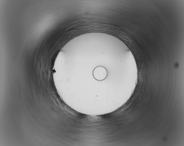 X0000114640429200912011053