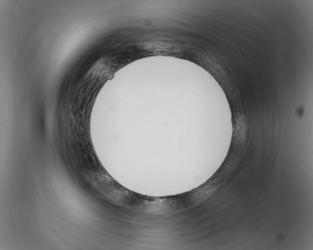 X0000114640430200912011053