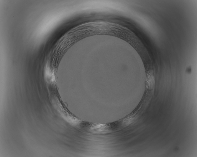 X0000114640431200912011053