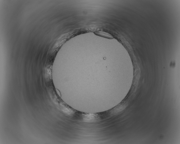 X0000114640432200912011053