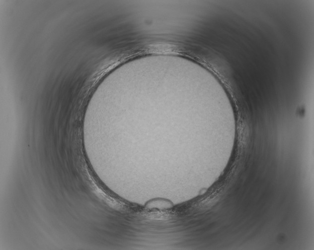 X0000114640433200912011052