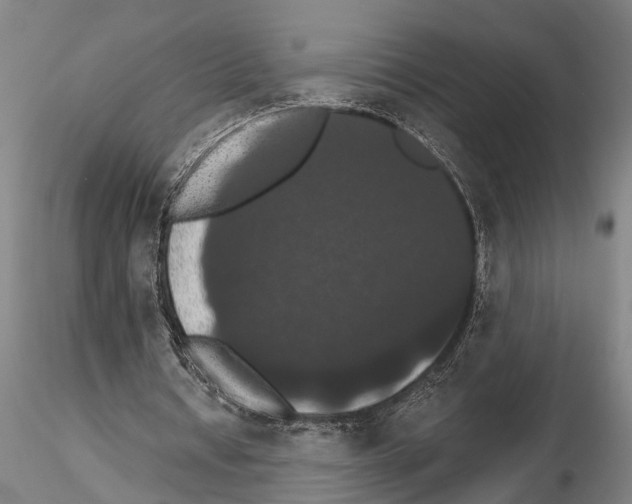 X0000114640434200912011052