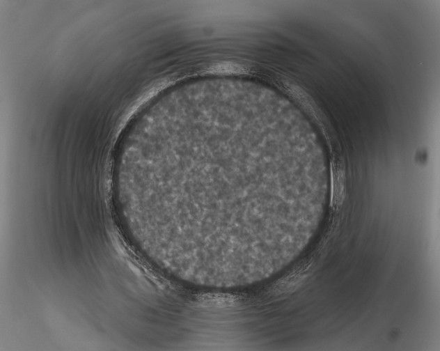 X0000114640435200912011052