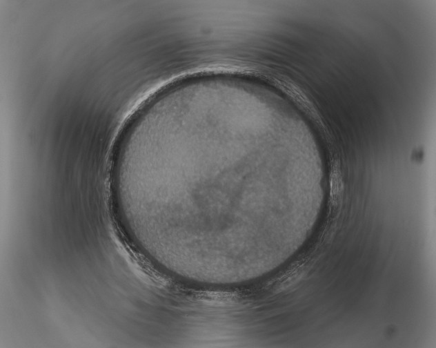 X0000114640436200912011052