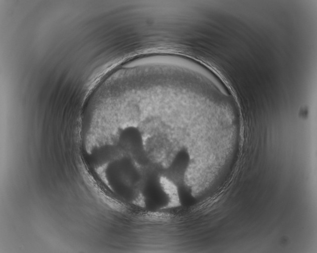 X0000114640437200912011052