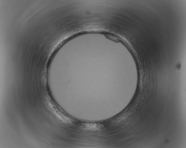 X0000114640439200912011052