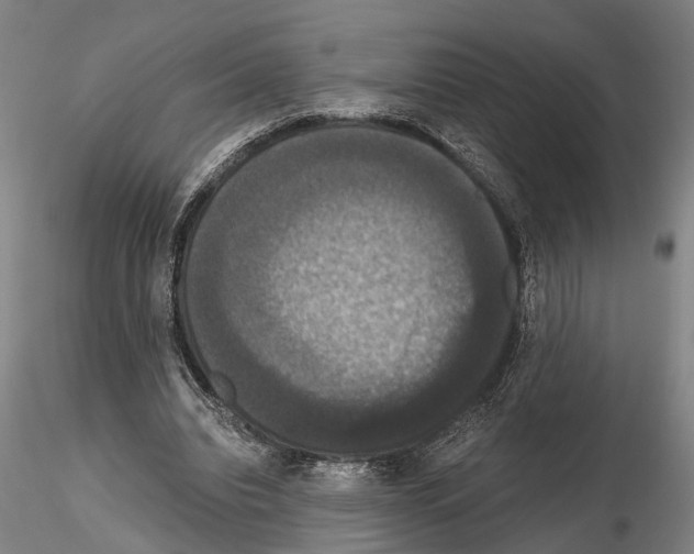 X0000114640440200912011052