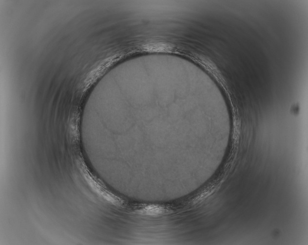 X0000114640441200912011052