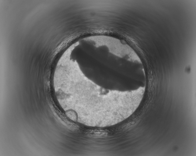 X0000114640443200912011052