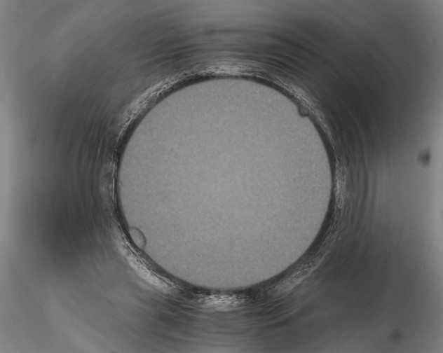 X0000114640445200912011052