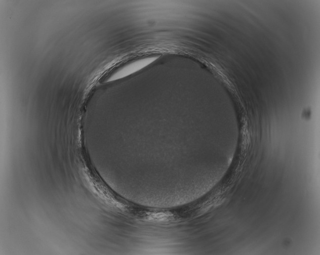 X0000114640446200912011052