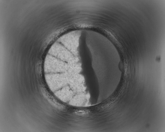 X0000114640447200912011052