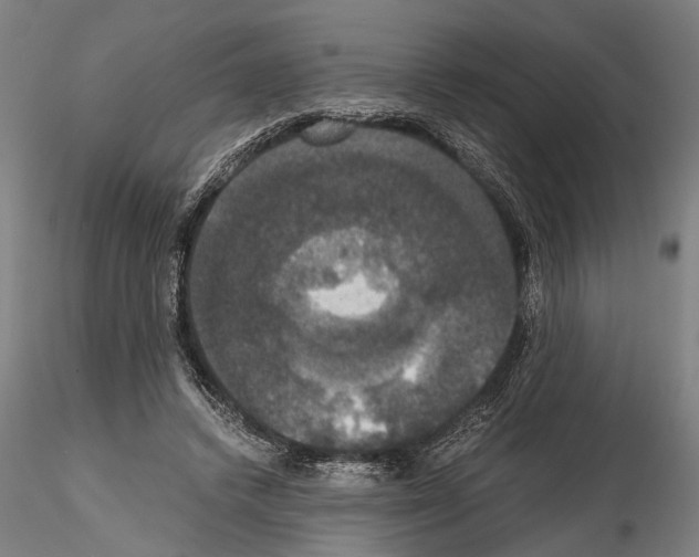 X0000114640448200912011052