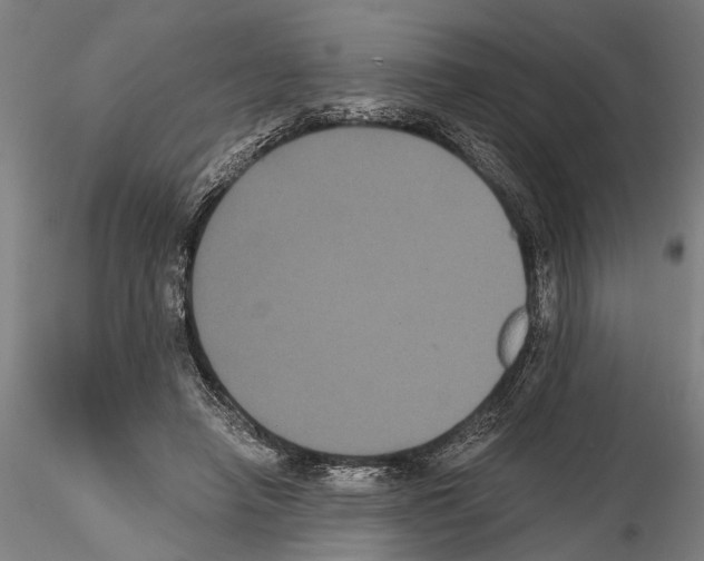 X0000114640450200912011053