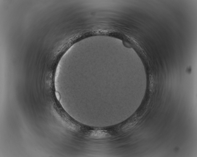 X0000114640451200912011053