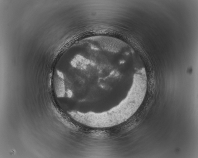 X0000114640454200912011053