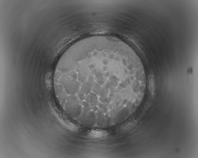 X0000114640455200912011053