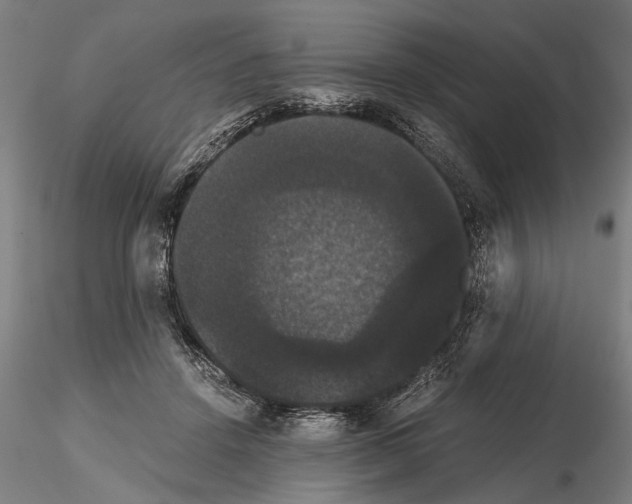 X0000114640456200912011053