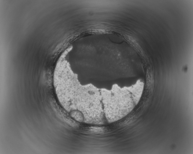 X0000114640457200912011053