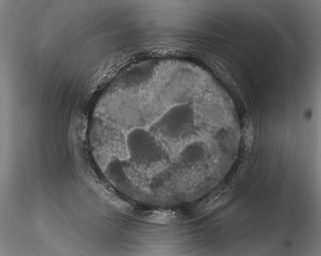 X0000114640458200912011053