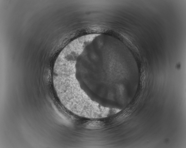 X0000114640459200912011053