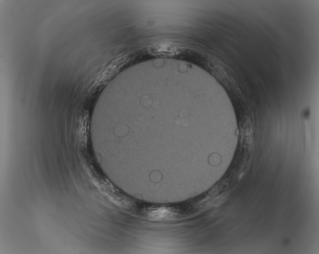 X0000114640460200912011053