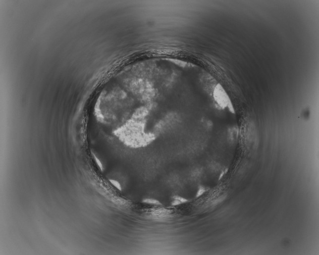 X0000114640462200912011053