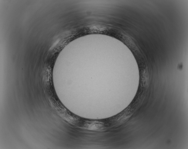 X0000114640463200912011053