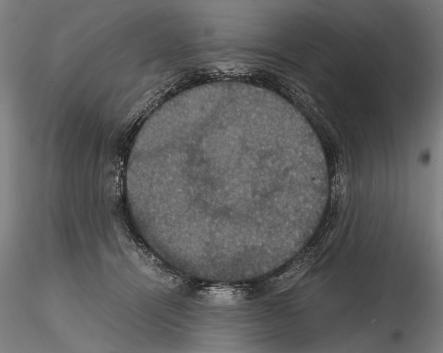 X0000114640464200912011053