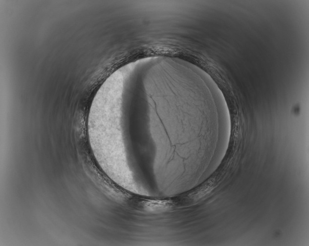 X0000114640465200912011053