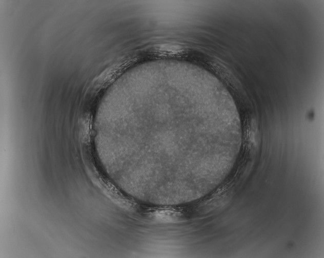 X0000114640468200912011053