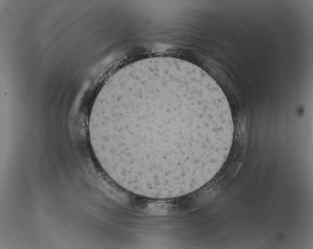 X0000114640470200912011053