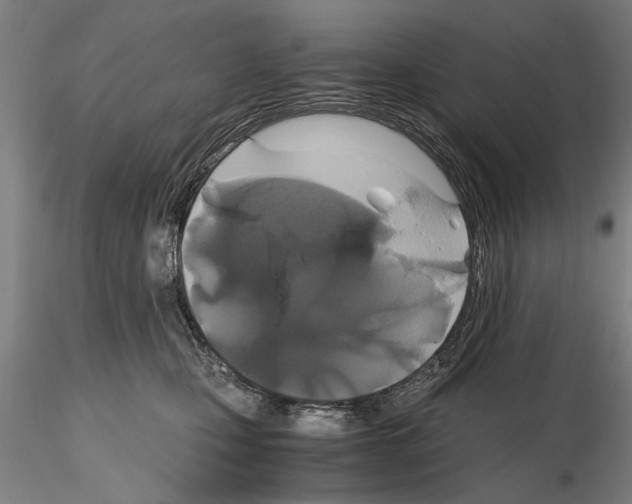 X0000114640471200912011053