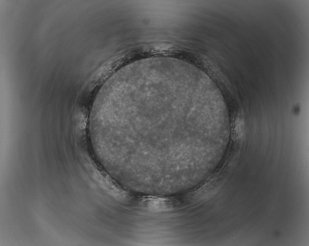 X0000114640472200912011053