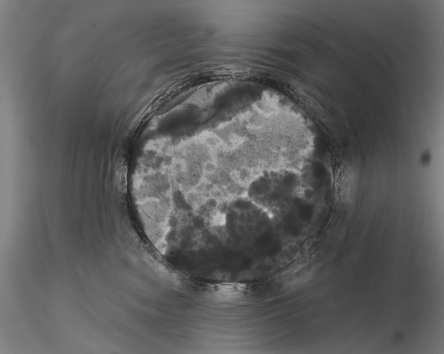 X0000114640474200912011053