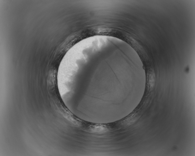 X0000114640475200912011053