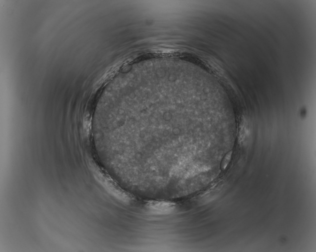 X0000114640476200912011053